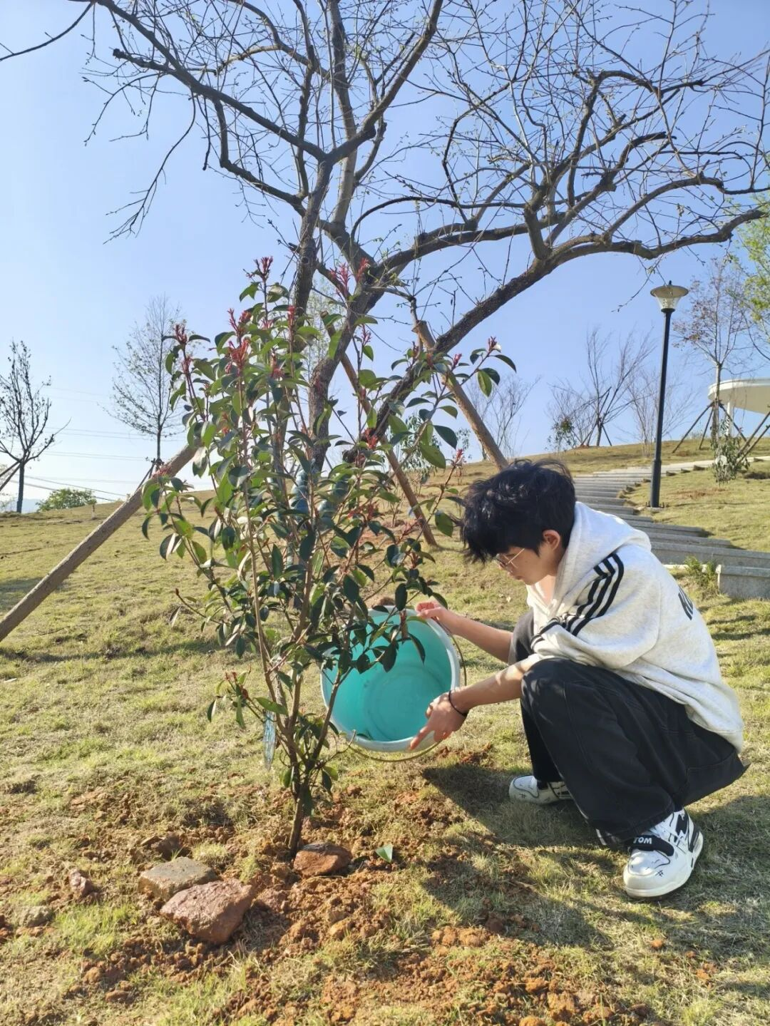植心育绿 向阳生长｜beat365vip官网植树活动圆满举行(图4)