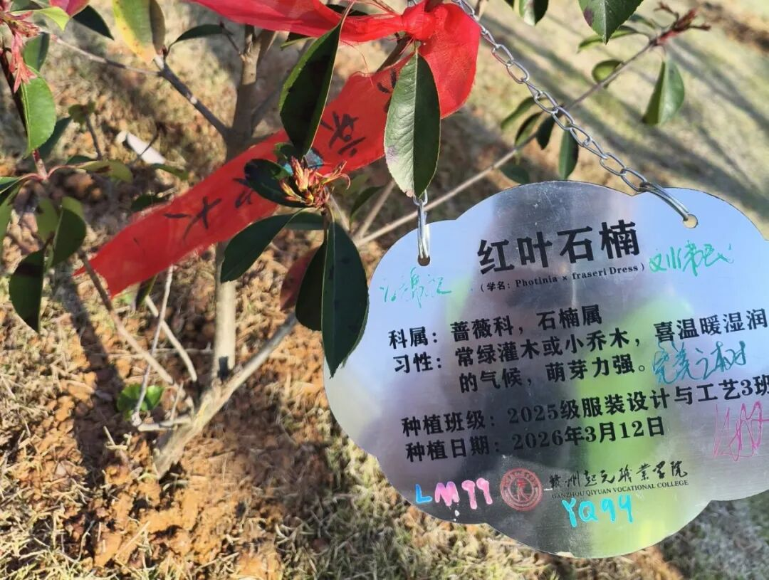 植心育绿 向阳生长｜beat365vip官网植树活动圆满举行(图11)